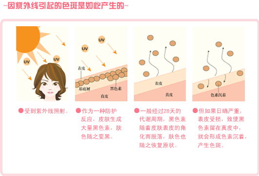 皮肤90%的衰老来自紫外线伤害防晒--想“黑”都难-学网-中国IT综合门户网站-提供健康,养生,留学,移民,创业,汽车等信息