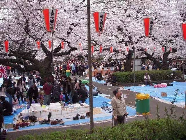 2017年最全日本赏樱攻略 | 最美不是下雨天,而