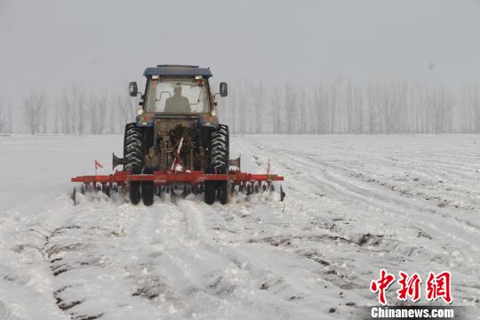 新疆兵团民众采用大型机械破雪抢春耕(组图)