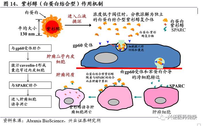 干货:优先审评提速,行业久旱逢甘霖(行业篇上)兴证医药