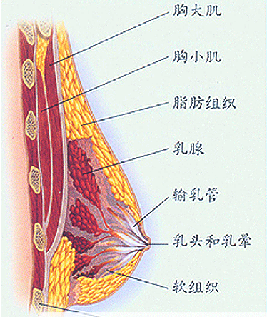 ebfc427672044712974d65836d5daab9_th.jpg