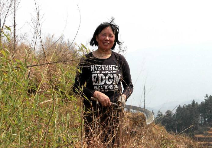 男人不在家,农村妇女在田地里干活也很厉害