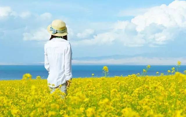 服务| 巴中人,你最近肯定需要这样一份油菜花田拍照指南!