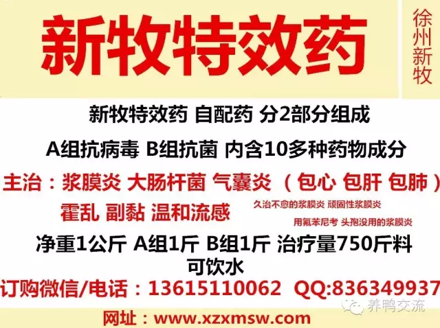 上亿人口国家_....1-1世界总人口数及人口上亿国家排名 世界总人口数7,056,721,