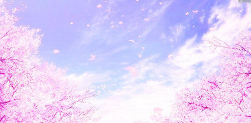 动漫里那些美得让人窒息的樱花唯美风景美图