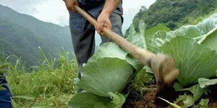 【节气】惊蛰 春雷响 万物长