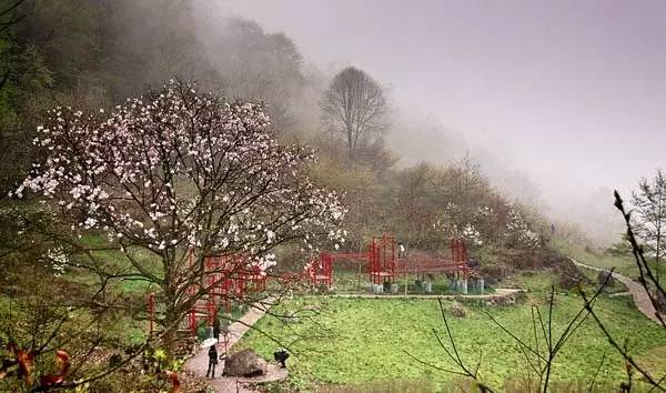 全球首个中药调理主题景区—北川药王谷