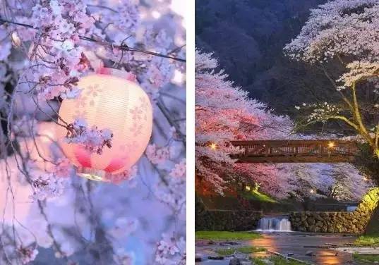 霓虹国樱花季の限定美食TOP10，错过还要等一年！