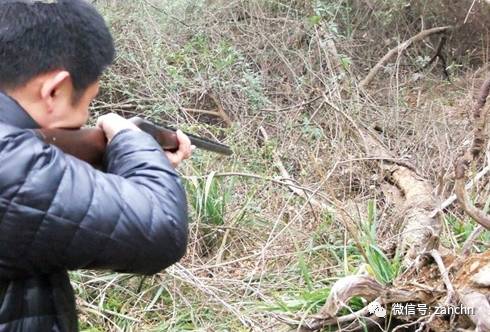 本周末 体验开枪狩猎的乐趣 赏70万亩油菜花海 自驾2日游