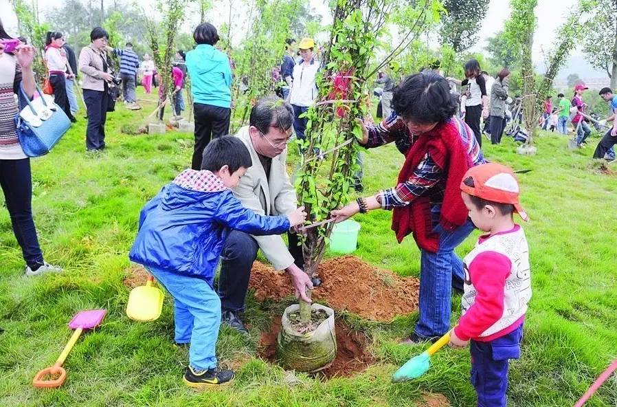 植树节活动|公益=种树 迁插多肉 亲子户外运动 植物认知(免费12个名额