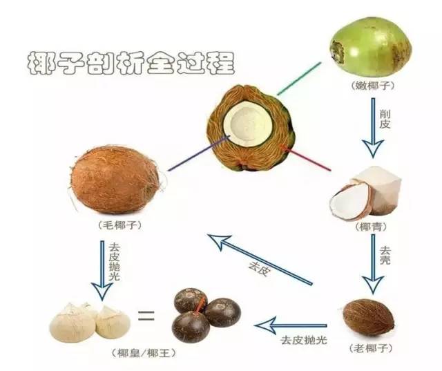 椰青,椰王,椰皇这三种水果傻傻分不清楚