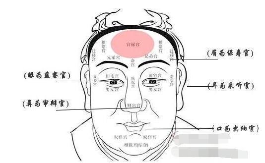 华新轩风水首页 女人面相 男人面相 贫穷手相图解 >> 男人面相分析