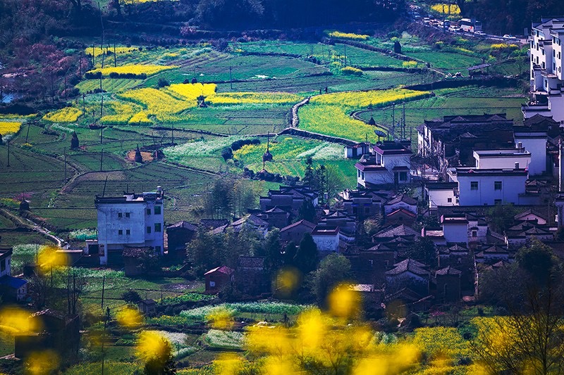 中国最美的乡村——婺源,是镶嵌在黄山,景德镇,庐山国际旅游黄金线上