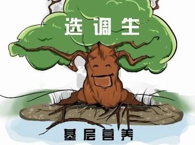 2017河北选调生考试流程_科技IT_南阳新闻_南