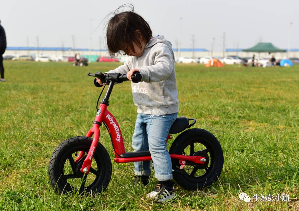 平衡车预告|2-5岁可以没有自行车,但不能没有平