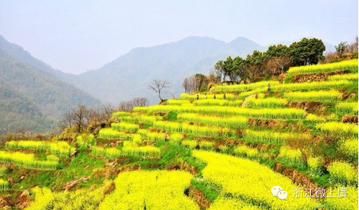 3月11日 攀冰川遗址,赏岭南花海覆卮山,千年油菜花梯田!