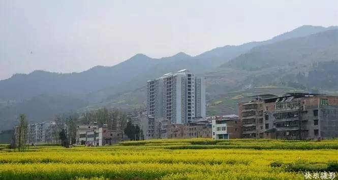 甲高镇距离奉节县城70公里.甲高镇的3月是油菜花的舞台.