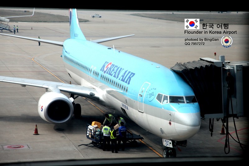 飞行在韩国上空的那些日子