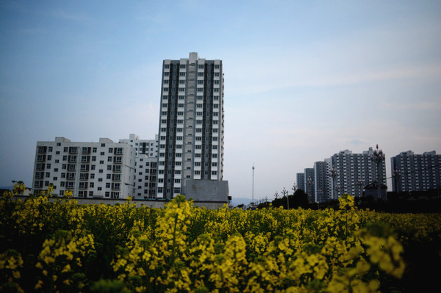 陕西醉美油菜花海,勉县分会场万亩盛放