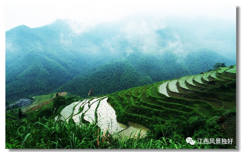 明月山仰山梯田