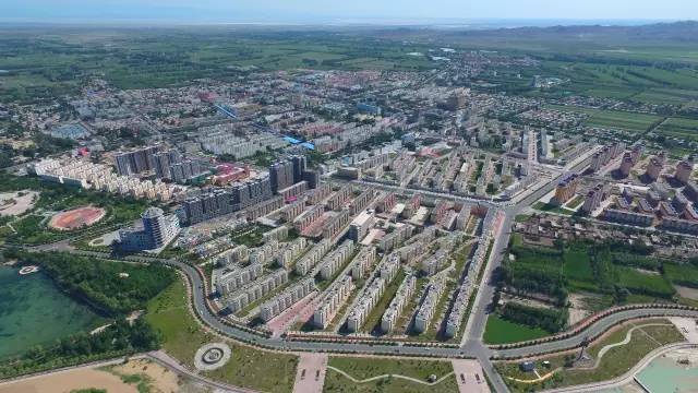 精河县位于新疆博尔塔拉蒙古自治州境内,精河县有四十多年的枸杞种植图片