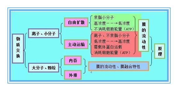 高中生物难吗