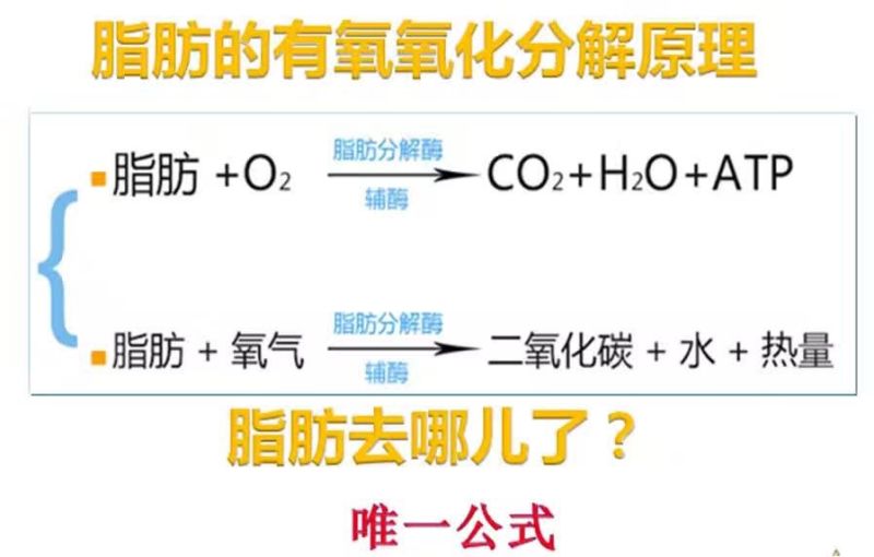 减肥膏什么原理_烫伤膏什么牌子好图片