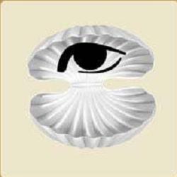 眼睛贝壳猜成语是什么成语_看图猜成语一个贝壳里有一只眼睛