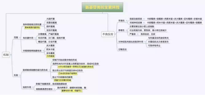 思维导图丨氨基苷类抗生素共性