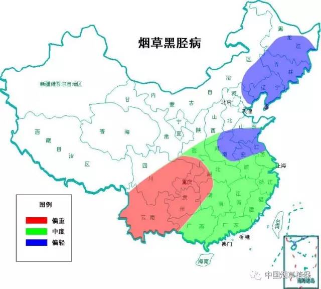 农资讯|全国烟区2017年病虫害趋势预报