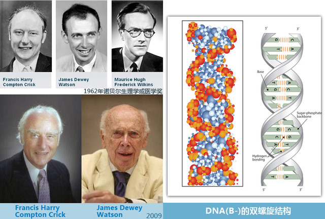 从未因性别歧视和私人恩怨停止对科学的探索