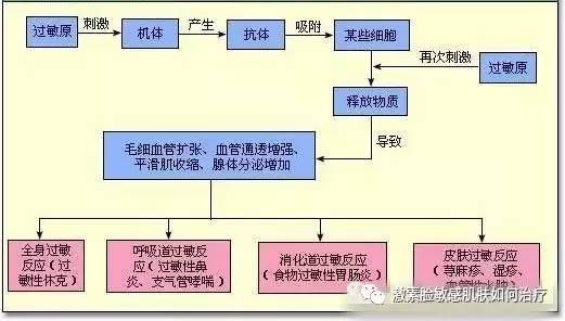 皮炎是机体再次接触相同致敏原引发的以皮肤损伤为主的迟发型过敏反应