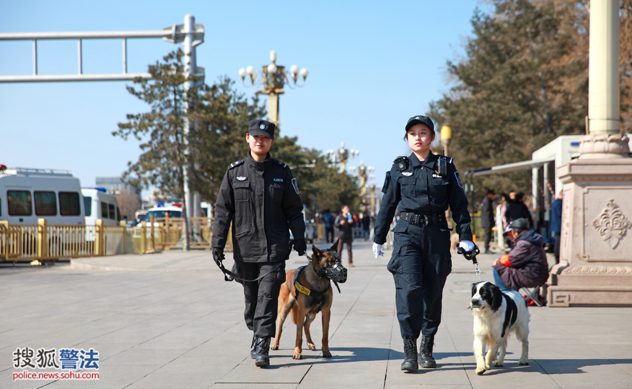 负责天安门前长安街安保搜爆任务的民警,辅警和她们的警犬天安门广场