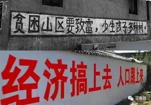 谁能想到,当口号从「少生孩子多种树」变成了「经济搞上去,人口跟上来