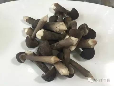 全球顶级菌菇大全