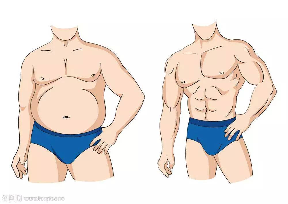 从一般人的角度看, 只有看上去肚子比胸围大的人才能算作胖子.