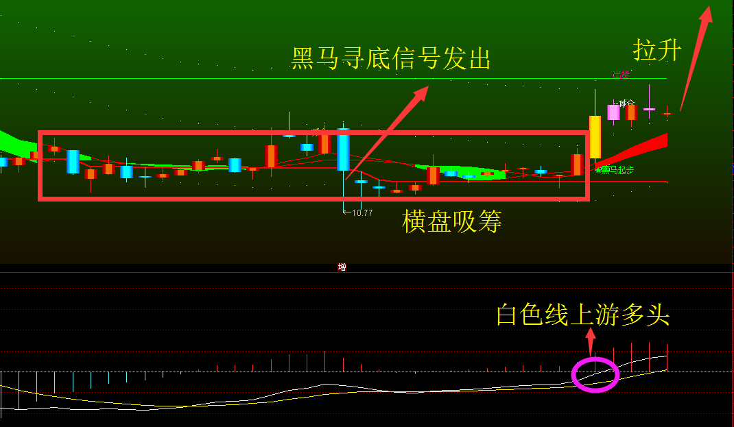 宁夏人口年龄结构研究_2013年河南人口发展报告 出炉 郑州又增16万人(2)