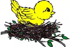 【植树节活动】植树节,到武汉园博园为小鸟筑巢!