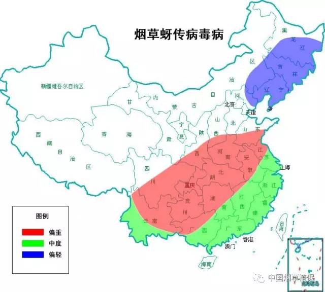 农资讯|全国烟区2017年病虫害趋势预报