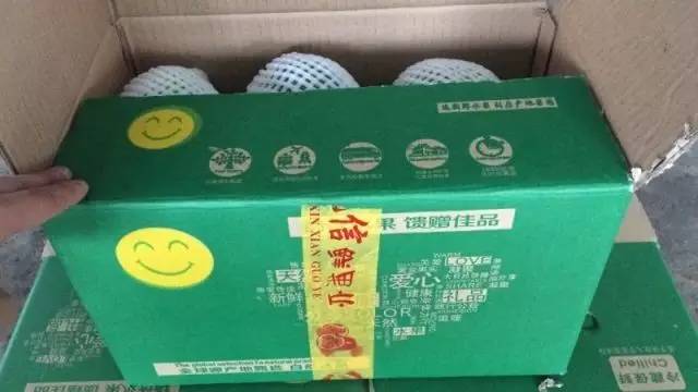 越南一级精品牛奶红心超大木瓜!10斤只要34.8