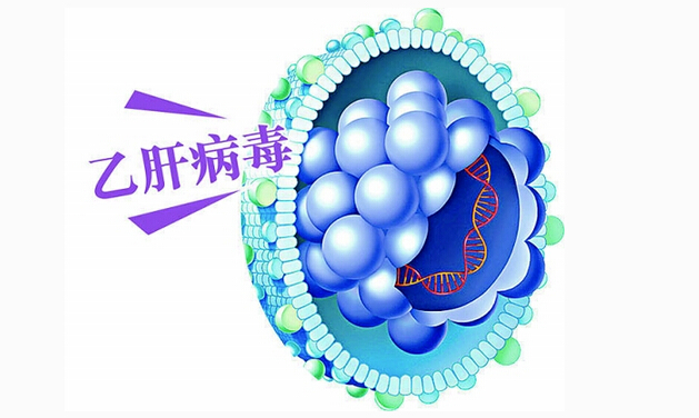 人事部:乙型肝炎病毒携带者可以录取为公务员