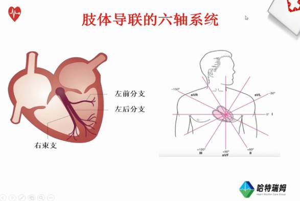 肢体导联六轴系统