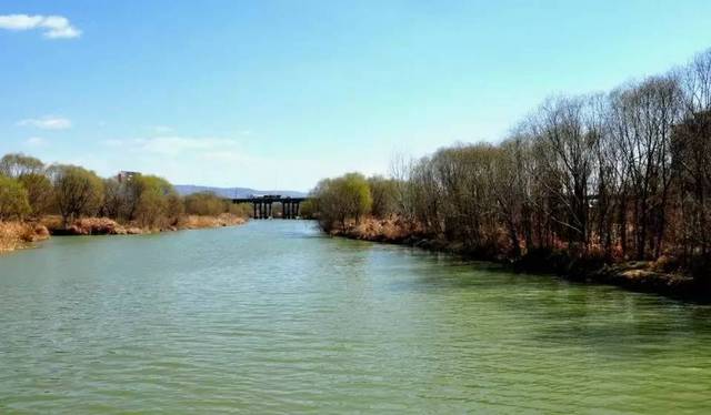 【灞桥印象】3月的湿地公园 人间的"天堂美景"