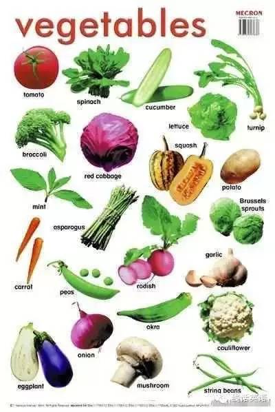 7张图,教你搞定所有常见英文版蔬菜,为孩子留着!