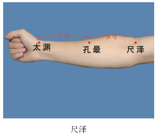 (1)咳嗽,气喘,咯血,咽喉肿痛等肺系实热病证;【主治】【定位】微屈肘