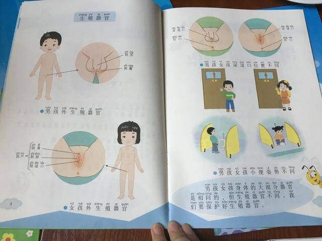 此外,教材的编写方,北京师范大学儿童性教育课题组近日通过其官