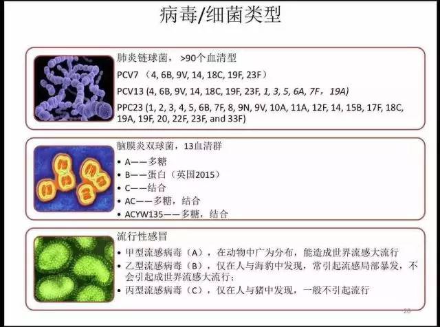 疫苗减灭世界人口_...文了解中国人用疫苗产业图谱(2)