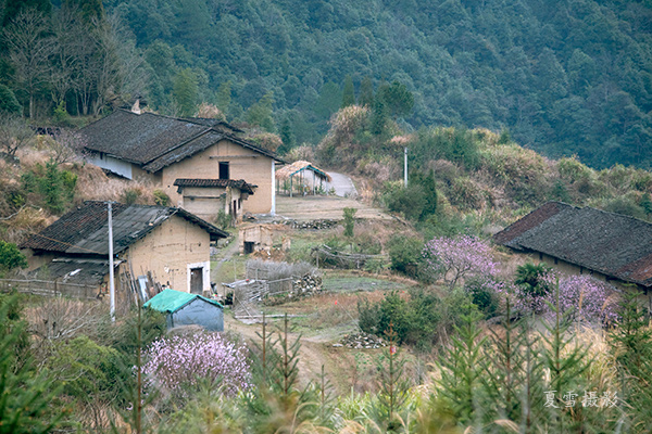 如诗如画的乡村美景:光菇山