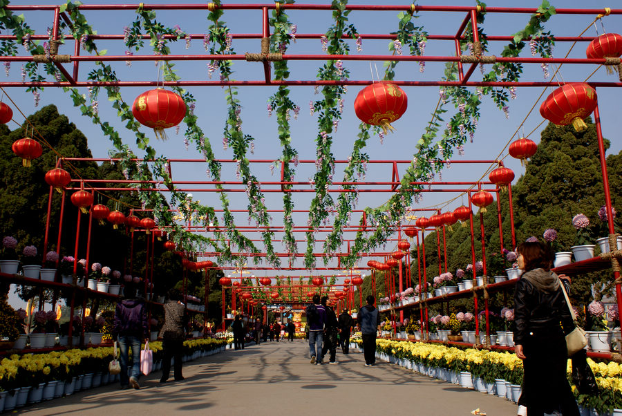 河南旅游景点排行榜：河南十大旅游景点(图7)