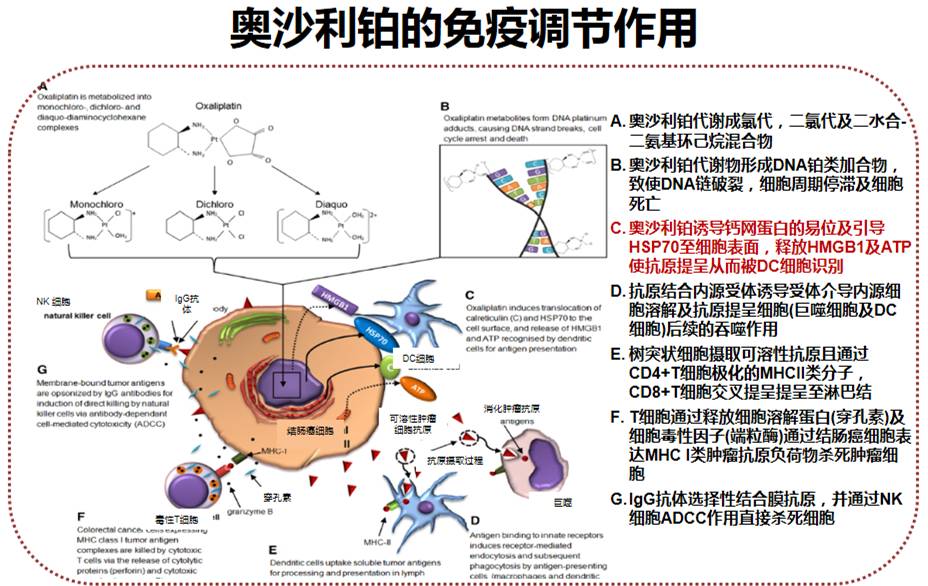 从标准到精准,优化结直肠癌化疗路在何方?